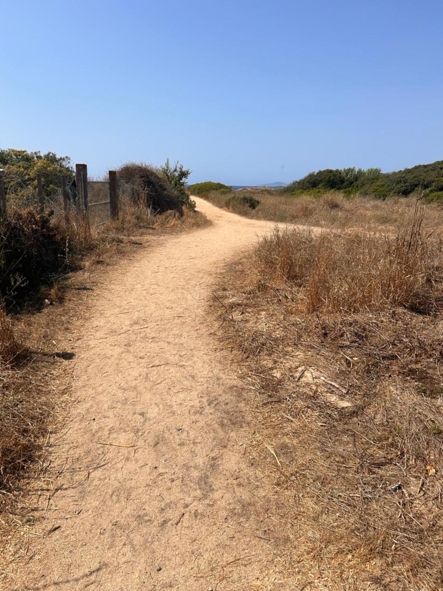 La Belle Vie F4 Bord De Plage Avec Jardin Calcatoggio  Dış mekan fotoğraf