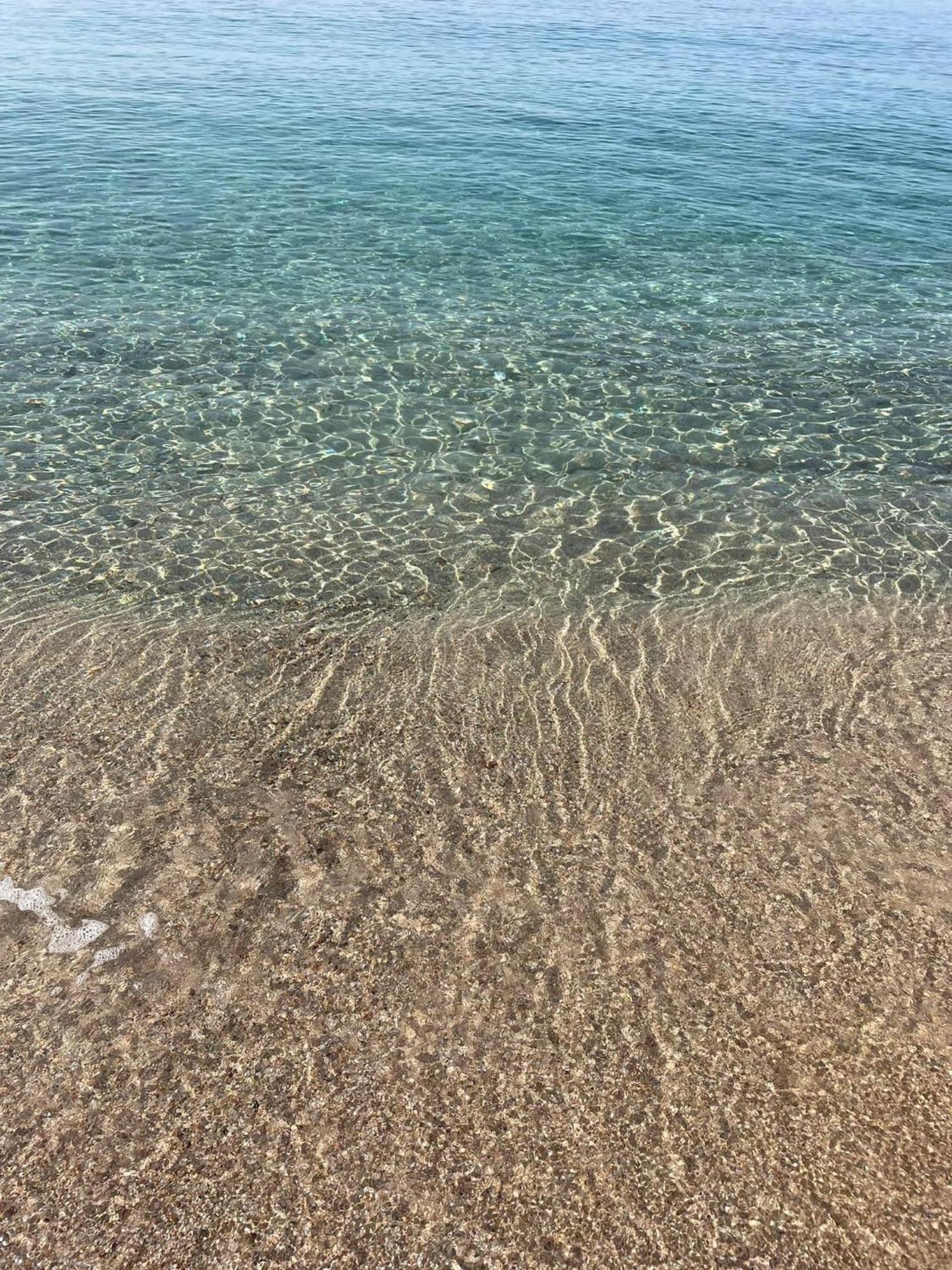 La Belle Vie F4 Bord De Plage Avec Jardin Calcatoggio  Dış mekan fotoğraf